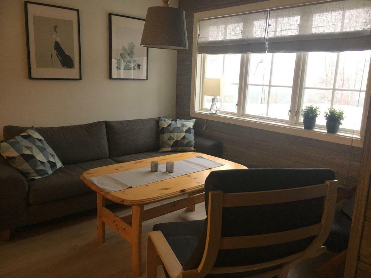 Oppdal Alpintun, Stolen Ovre - Ski In Ski Out Exterior photo